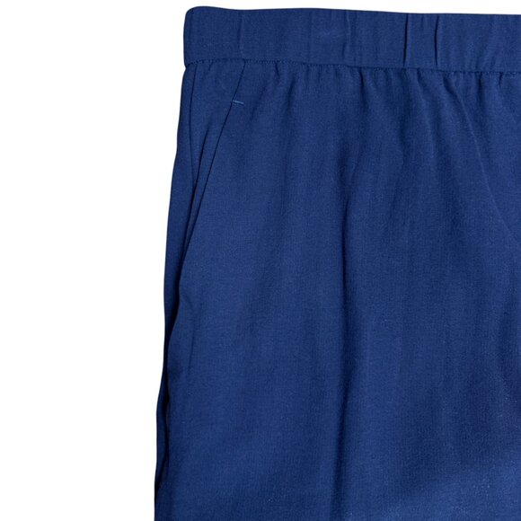 EUC Women's EILEEN FISHER Georgette Crepe Silk Pull-On Pant w/Pockets | Size PL - Picture 6 of 7